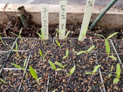 20200220_082638-3024x2268