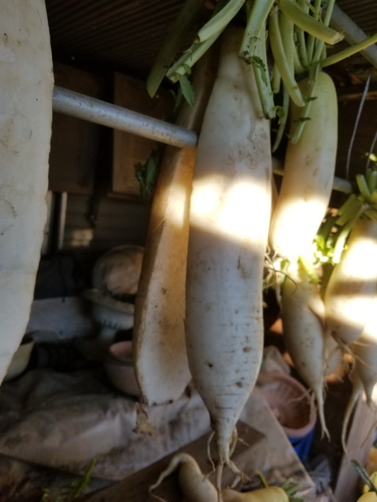 20191204_080818-1620x2160