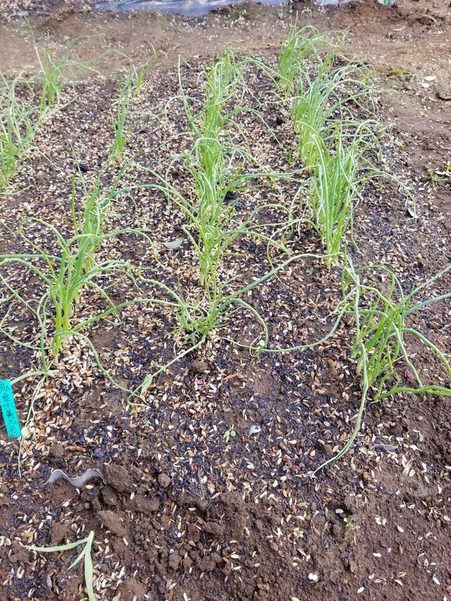 20221028_101733_copy_1512x2016