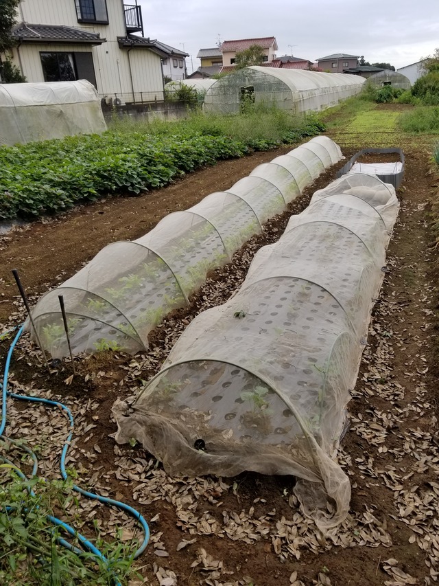 20210917_073000_copy_2268x3024