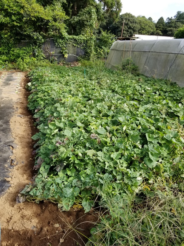 20210921_082942_copy_2268x3024