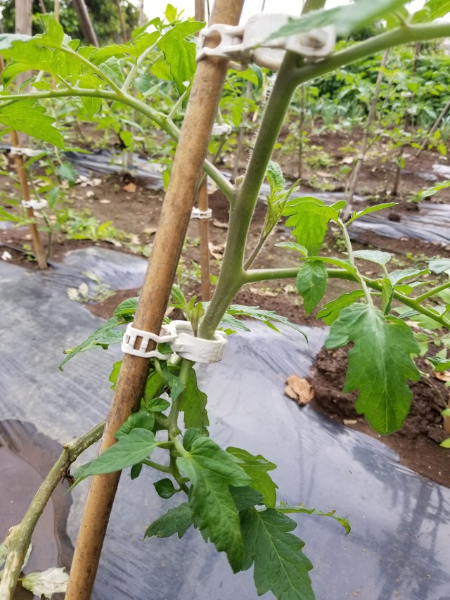 20220523_085224_copy_2268x3024