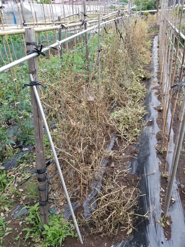 20230531_081737_copy_1512x2016