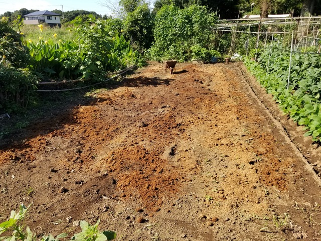 20210910_142455_copy_3024x2268