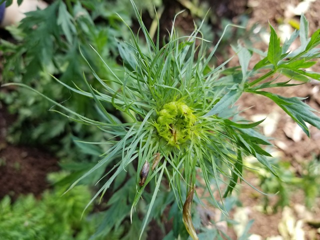 20230417_075932_copy_2016x1512