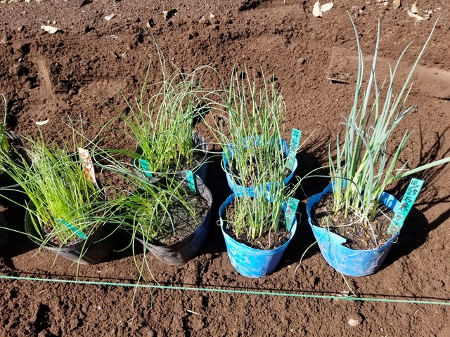 20230319_100848_copy_1612x1209