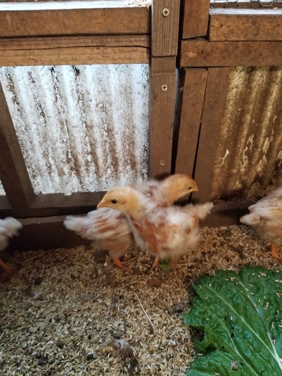 20191120_085447-1620x2160