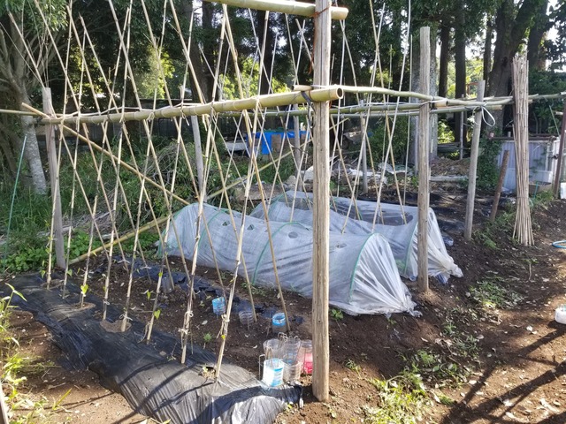 20230510_084837_copy_2016x1512