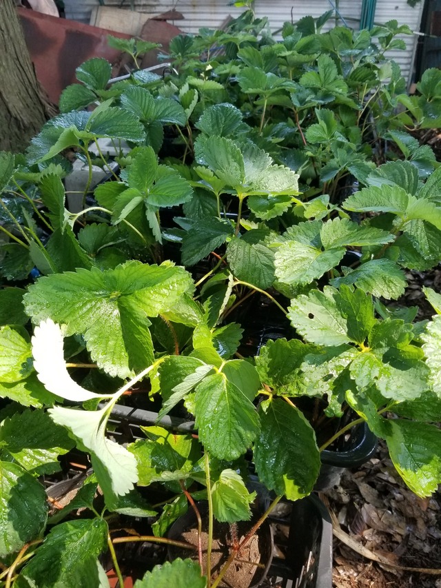 20230711_094620_copy_1512x2016