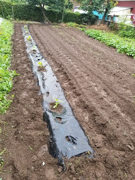 20190706_081941-1620x2160