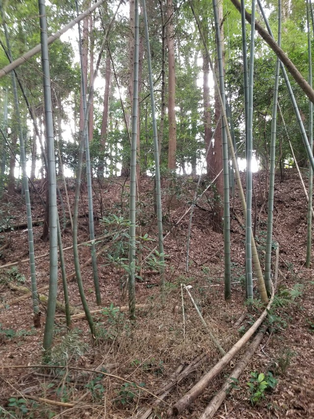 20240103_101009_copy_1512x2016