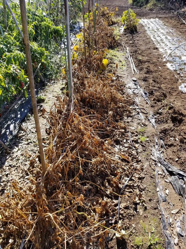 20211113_104239_copy_2268x3024