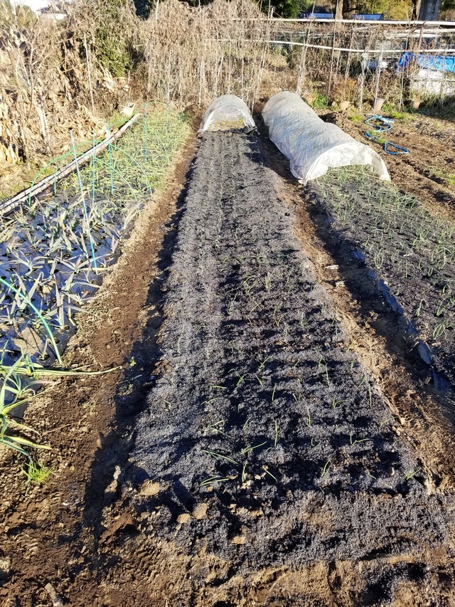 20211223_081632_copy_2268x3024