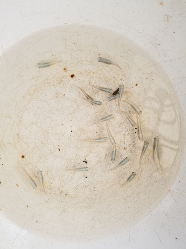 20230506_101354_copy_1512x2016