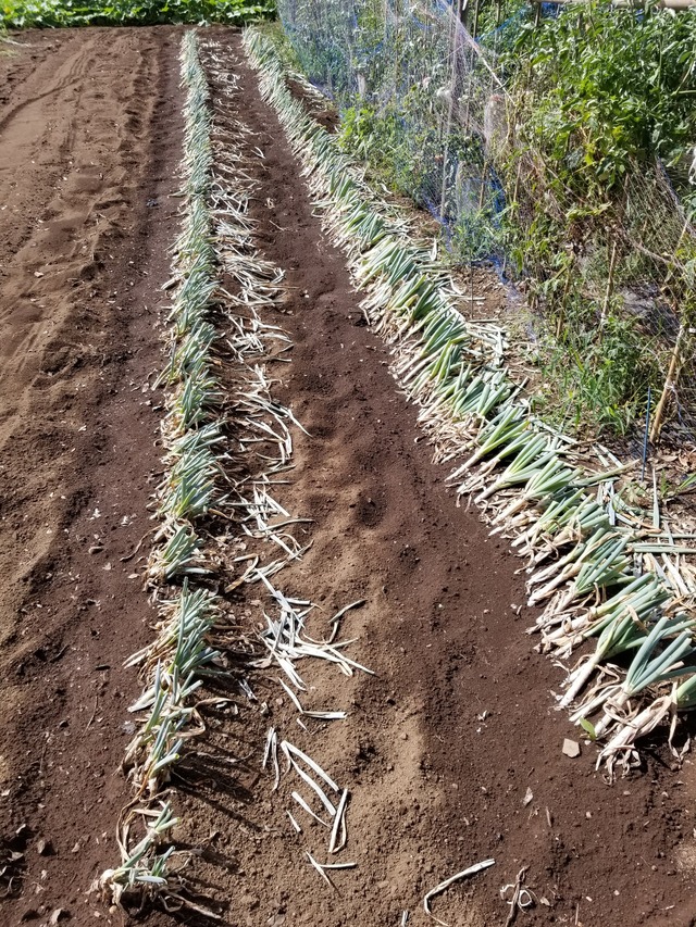 20230813_090842_copy_1512x2016