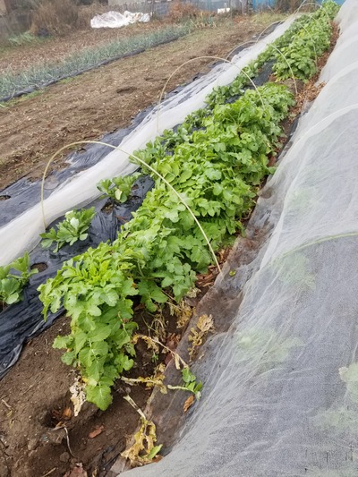 20200214_084828-2268x3024