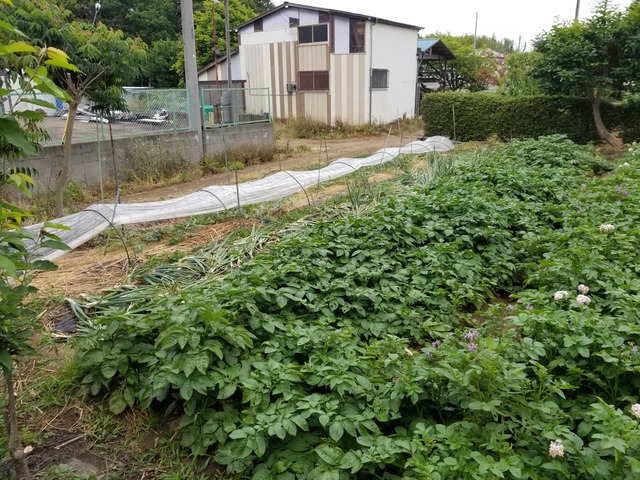 20190603_071123-2160x1620