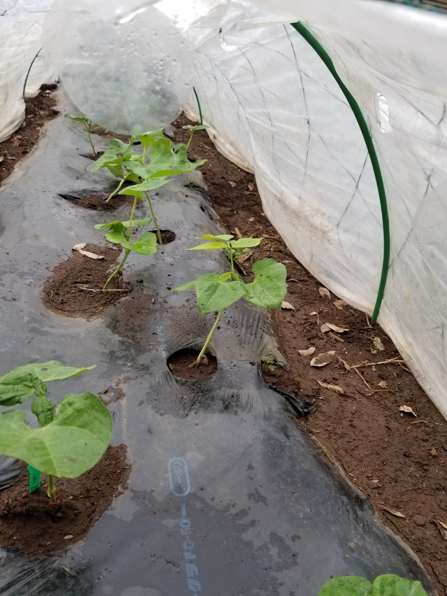 20230430_101534_copy_1512x2016