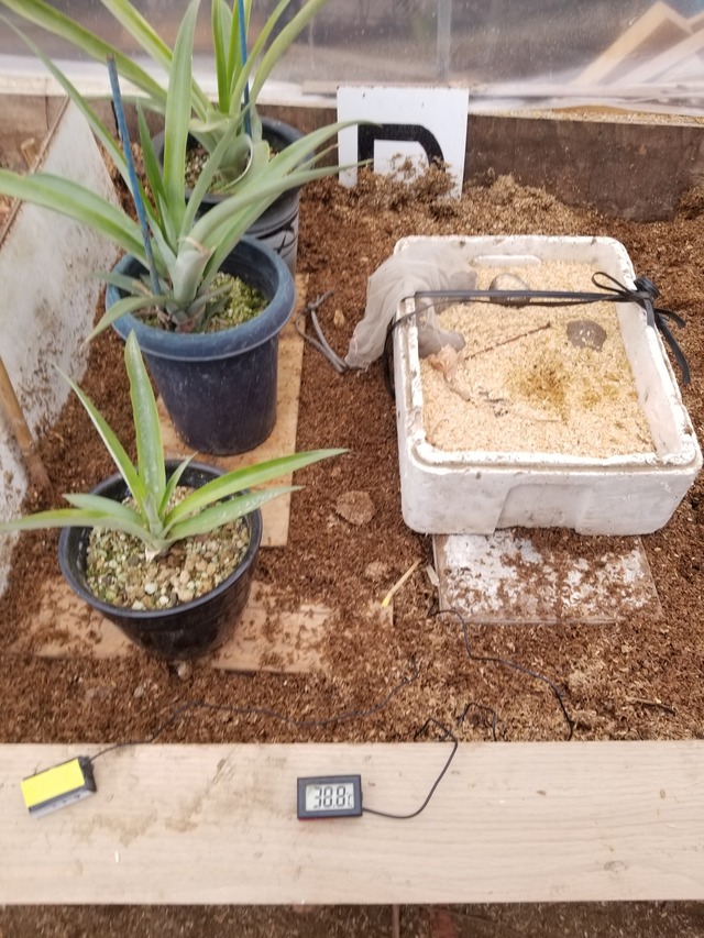 20231228_101449_copy_1512x2016