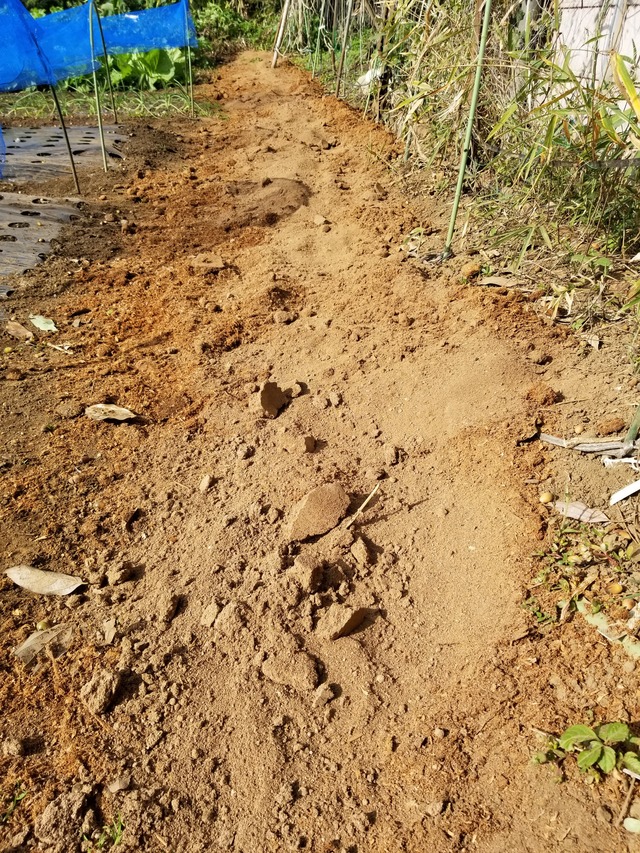 20201107_093802_copy_2268x3024