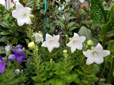 20190706_181356-2160x1620