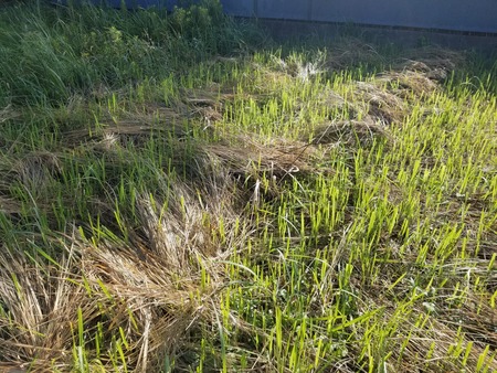 20190907_073902-2160x1620