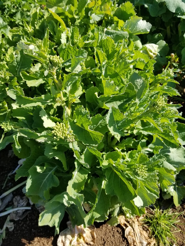 20240214_104017_copy_2268x3024