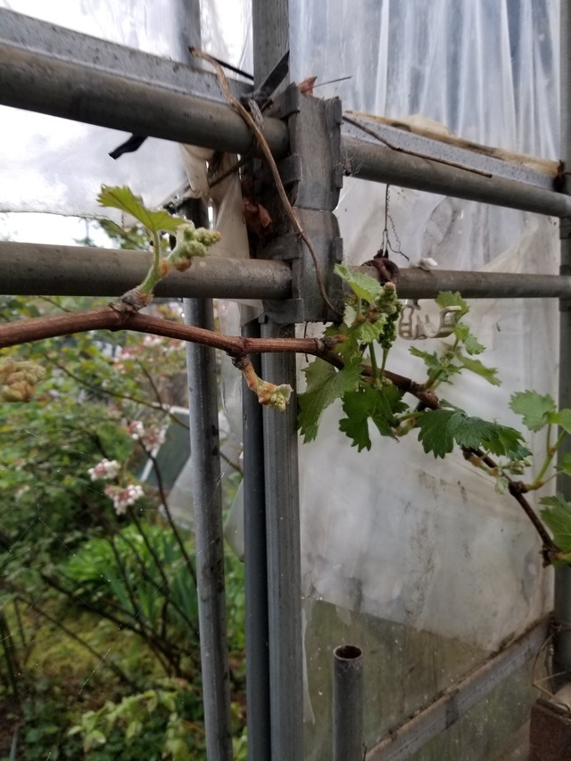 20210414_074243_copy_2268x3024