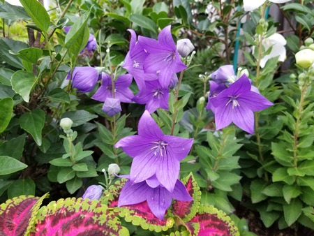 20190706_181351-2160x1620