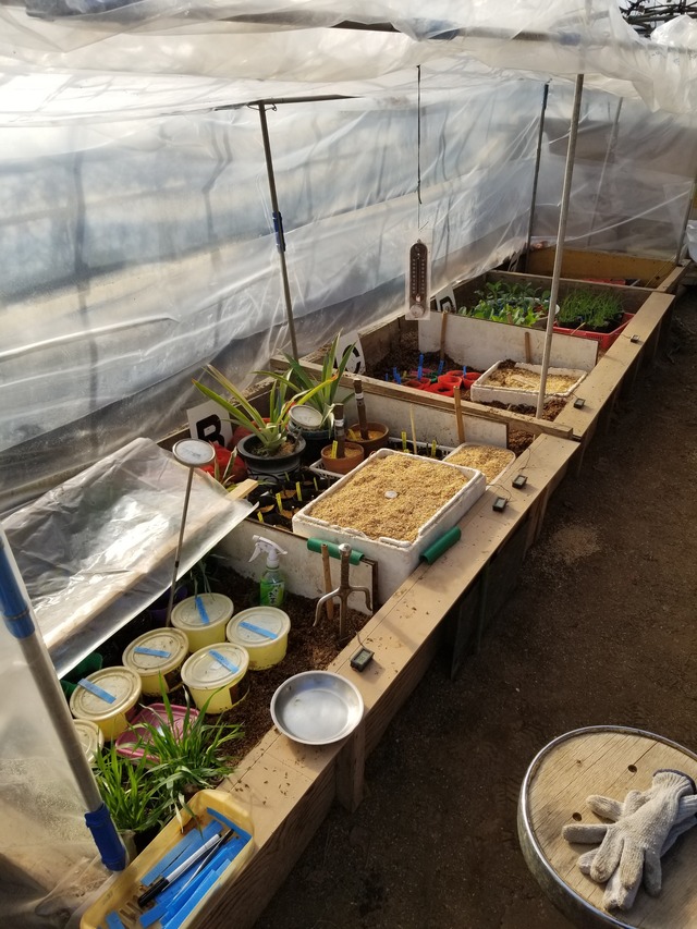 20240131_142322_copy_2268x3024