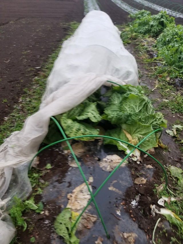 20211217_073451_copy_2268x3024