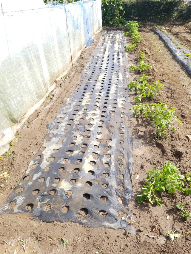 IMG_20231014_111018_copy_1512x2016