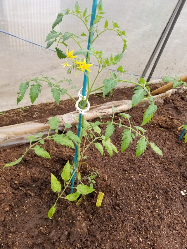 20210425_084748_copy_2268x3024