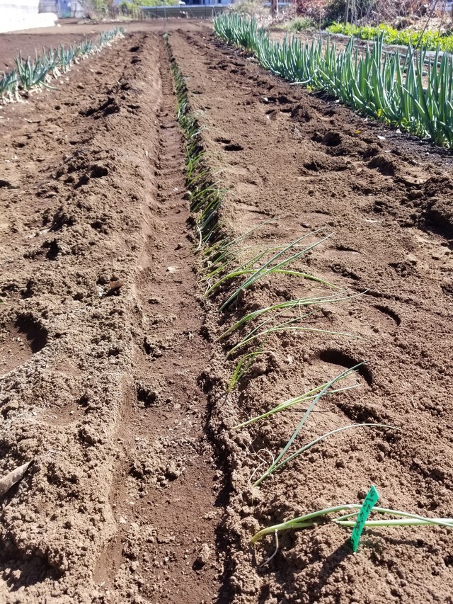 20230319_140010_copy_1209x1612