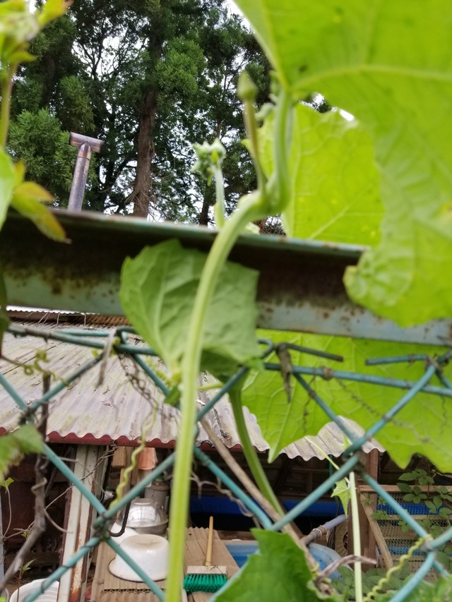 20200701_090112_copy_2268x3024