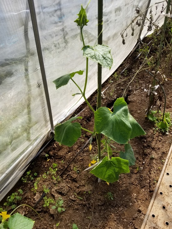 20191013_105121-1620x2160