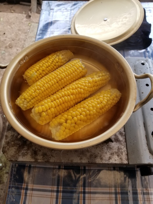 20230530_095134_copy_1512x2016