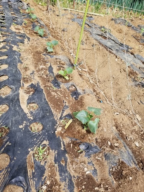 20190515_085646-1620x2160