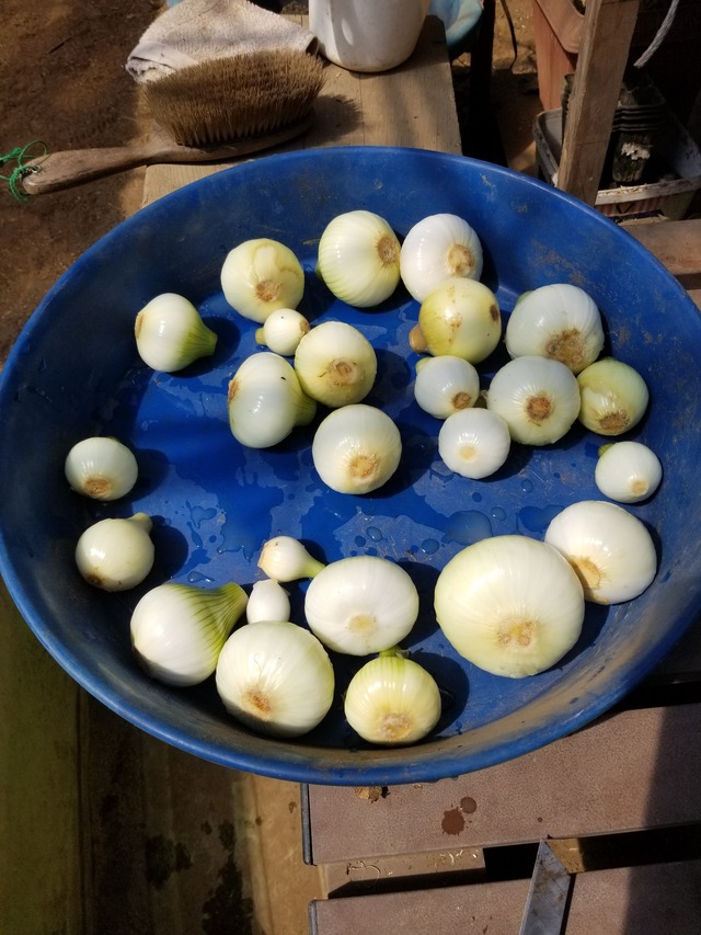 20240321_113152_copy_2268x3024