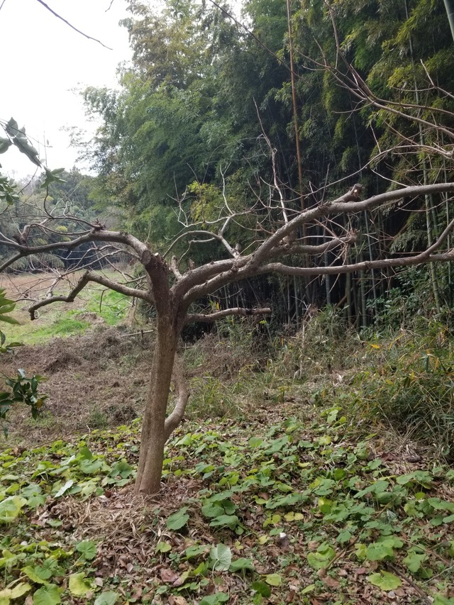 20240103_100049_copy_1512x2016