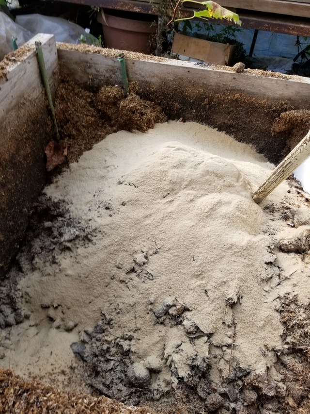 20201116_080825_copy_2268x3024