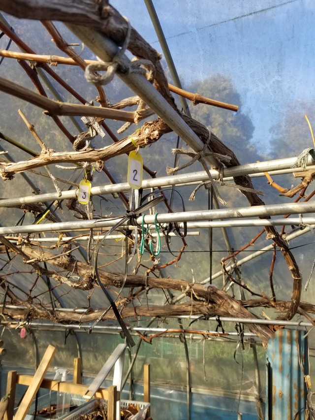 20231218_145320_copy_1512x2016