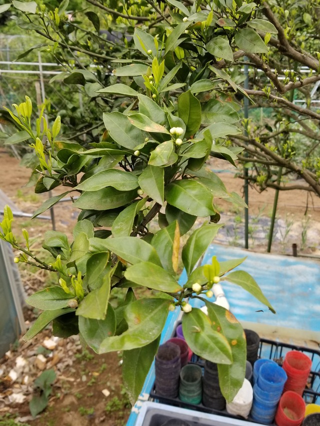 20230422_082531_copy_1512x2016