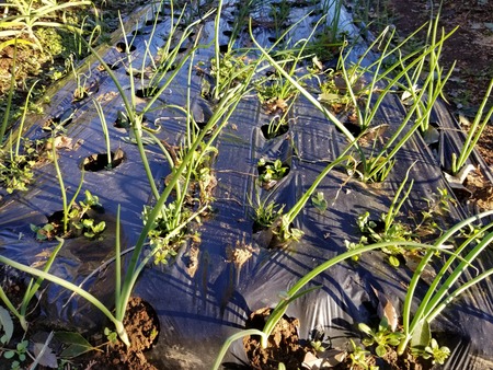 20191227_151231-3024x2268