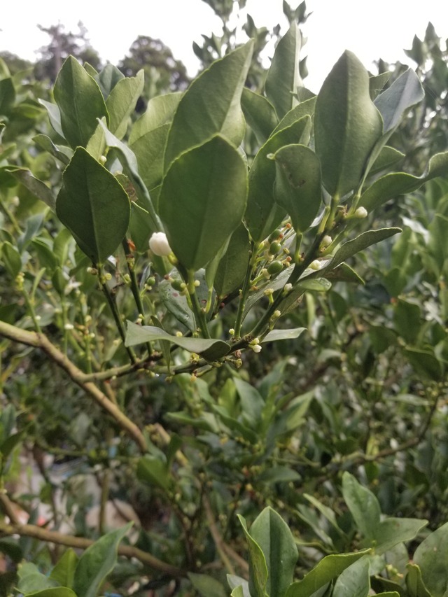 20230823_072824_copy_1512x2016