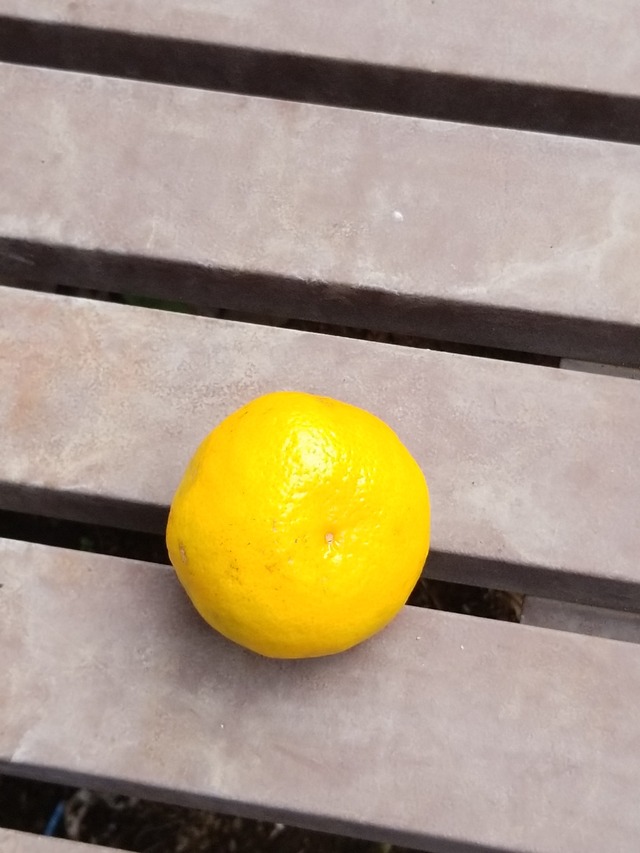 IMG_20231018_110824_copy_1512x2016