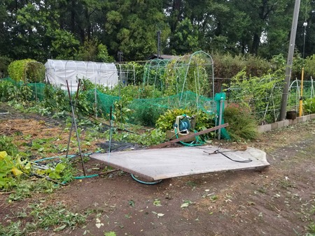 20190909_080610-2160x1620