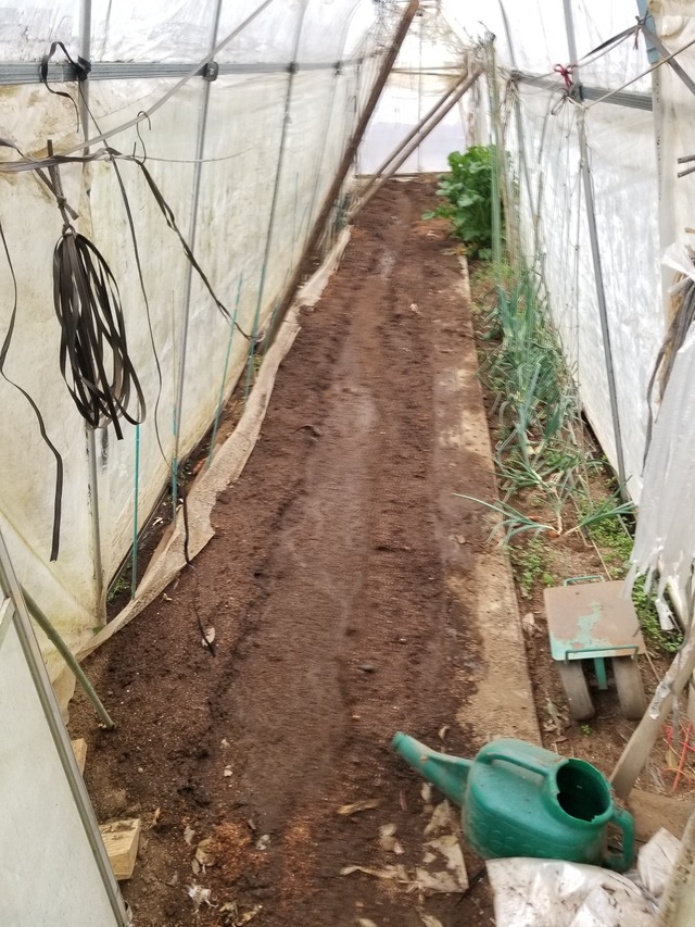 20240326_094635_copy_2268x3024