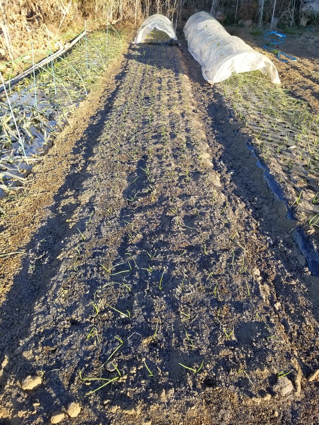 20211227_074726_copy_2268x3024