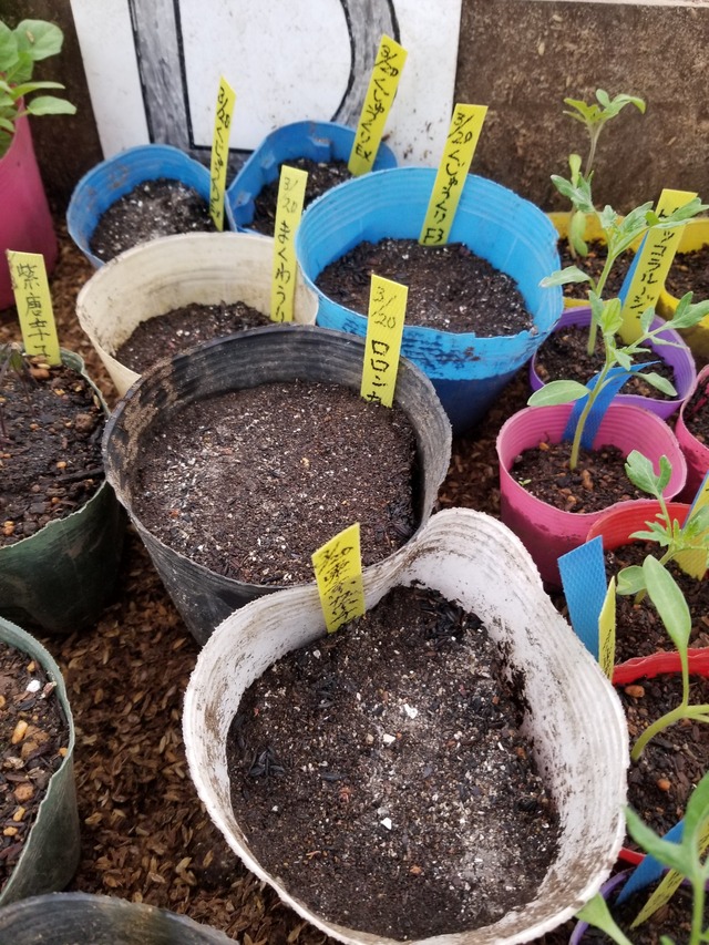 20220322_081037_copy_2268x3024